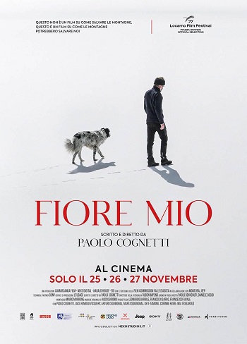 Poster film Fiore Mio