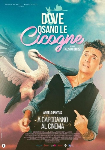 Poster film Dove osano le Cicogne