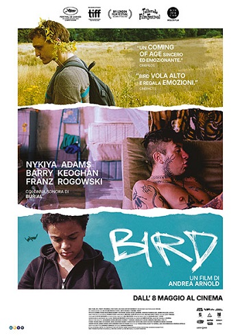 Poster film Bird